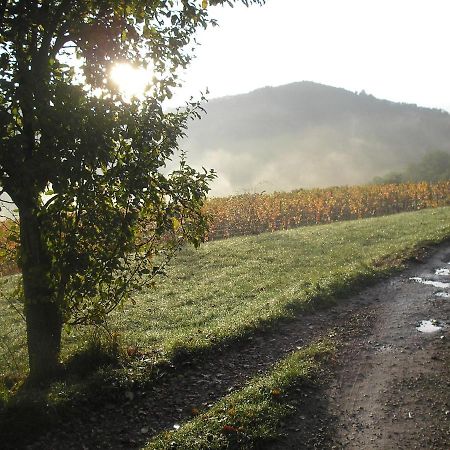 Grange Renovee En Pleine Nature Valady Kültér fotó