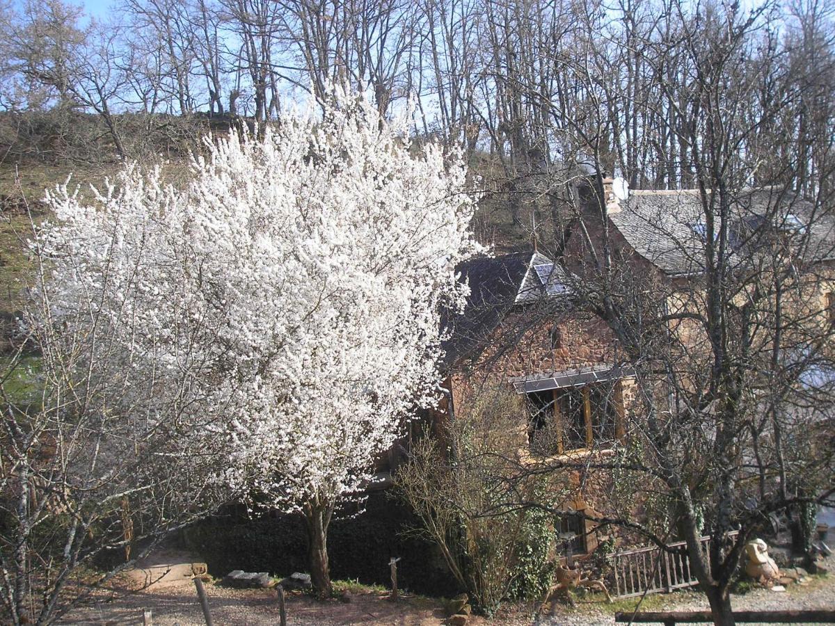 Grange Renovee En Pleine Nature Valady Kültér fotó