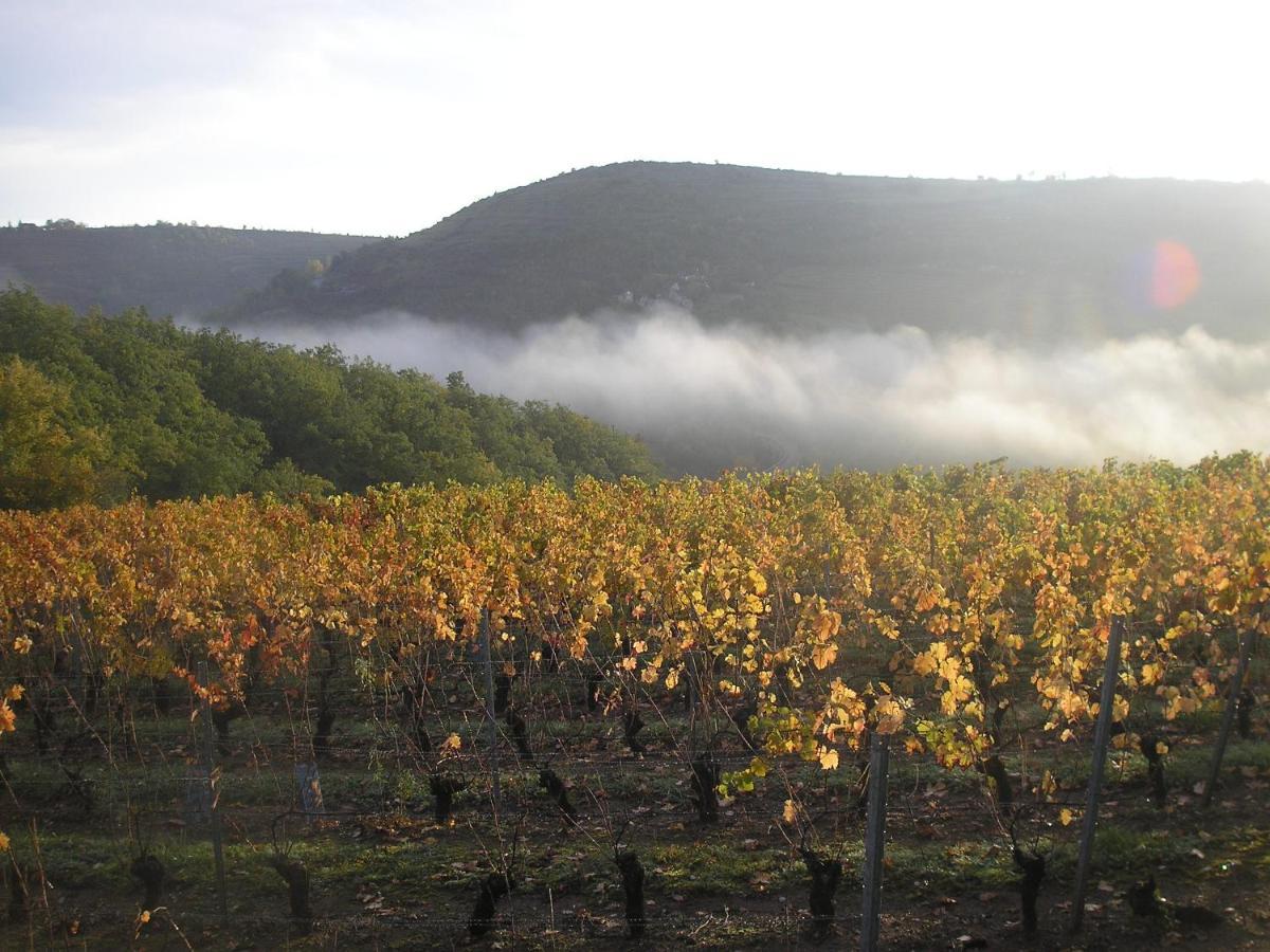 Grange Renovee En Pleine Nature Valady Kültér fotó
