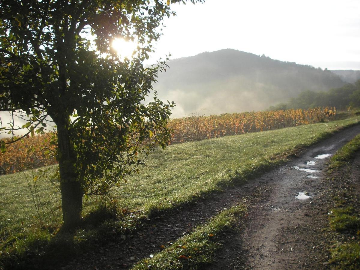 Grange Renovee En Pleine Nature Valady Kültér fotó